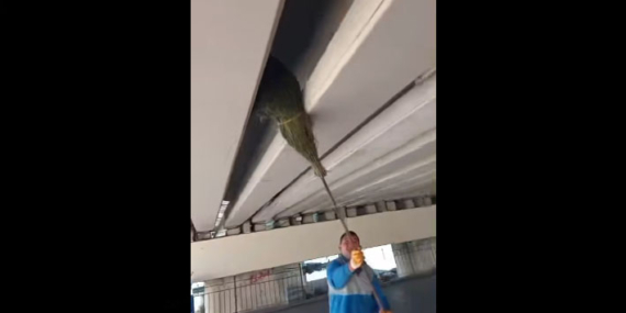 573056897_18018315536787721_8475497668824552808_n