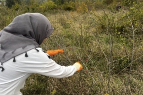 576372410_4059736800943387_4744169457747492580_n