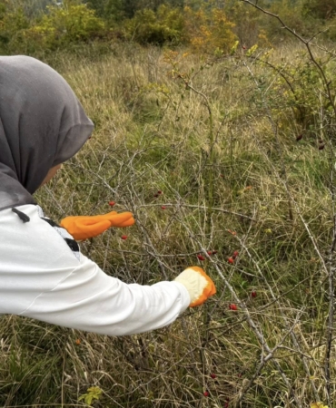 576372410_4059736800943387_4744169457747492580_n