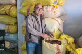 FB_IMG_1763104809657