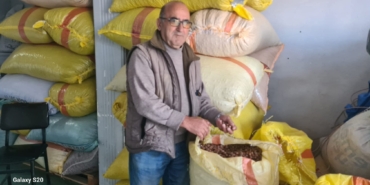 FB_IMG_1763104809657