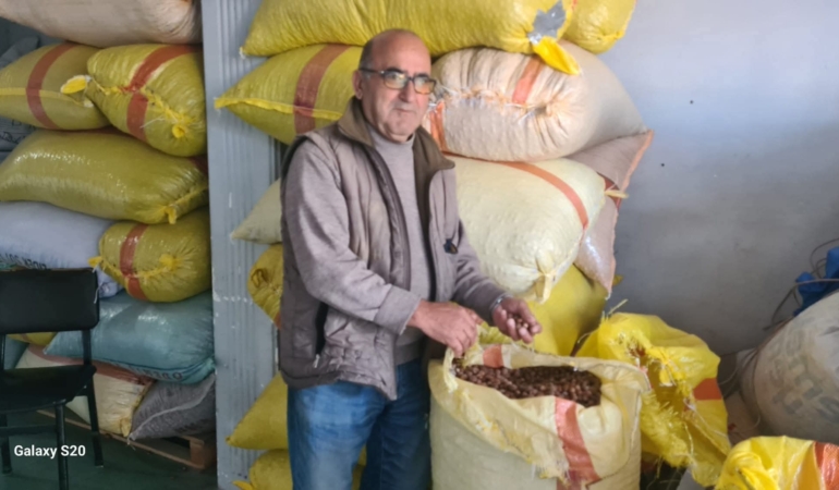 FB_IMG_1763104809657