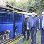 FB_IMG_1763461543833