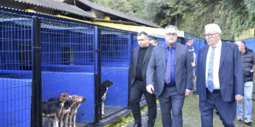 FB_IMG_1763461543833