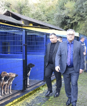 FB_IMG_1763461543833