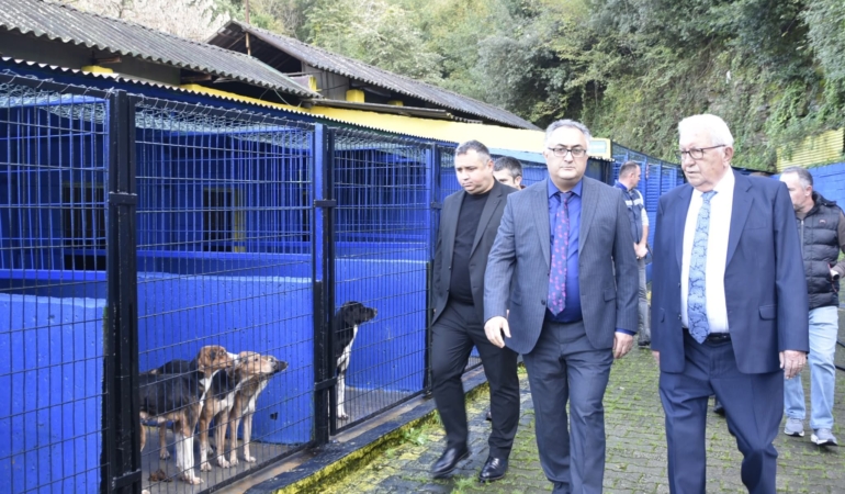 FB_IMG_1763461543833