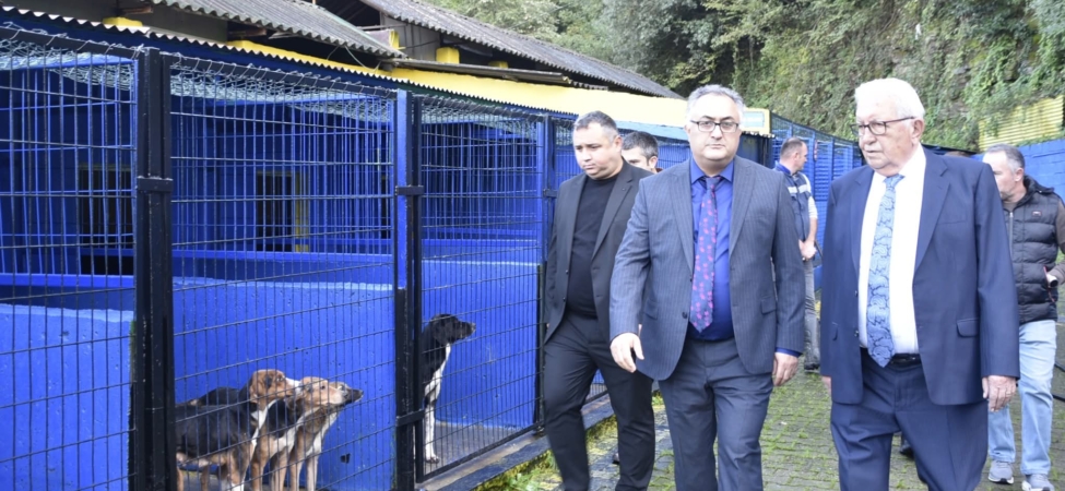 FB_IMG_1763461543833