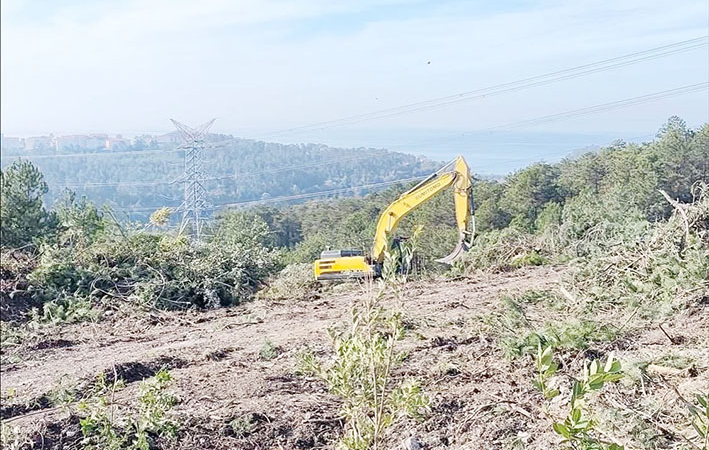 a70cd131-4957-4ce1-ab89-779f3b4e5ba3