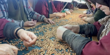 594756522_10163833693277904_1037134229704032011_n