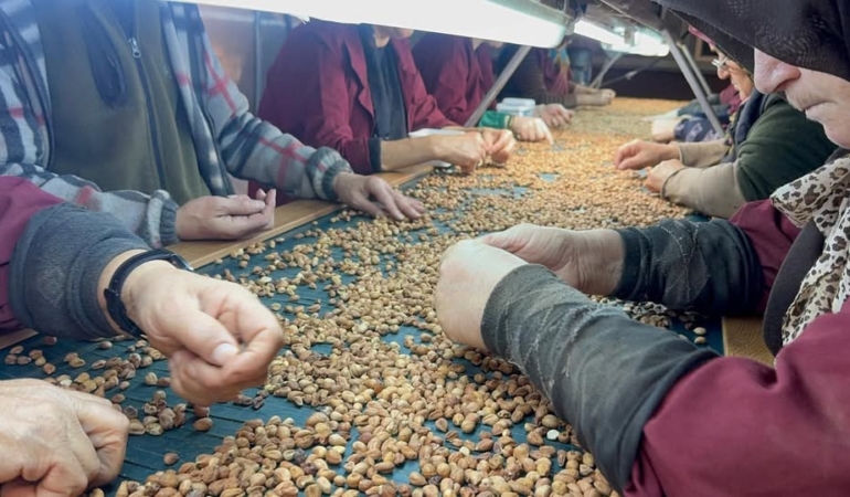 594756522_10163833693277904_1037134229704032011_n