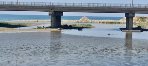 596620835_10163848155497904_3743542551097714968_n