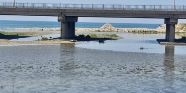 596620835_10163848155497904_3743542551097714968_n