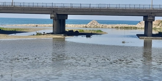 596620835_10163848155497904_3743542551097714968_n