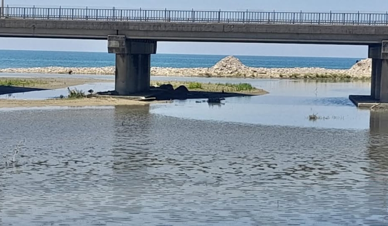 596620835_10163848155497904_3743542551097714968_n