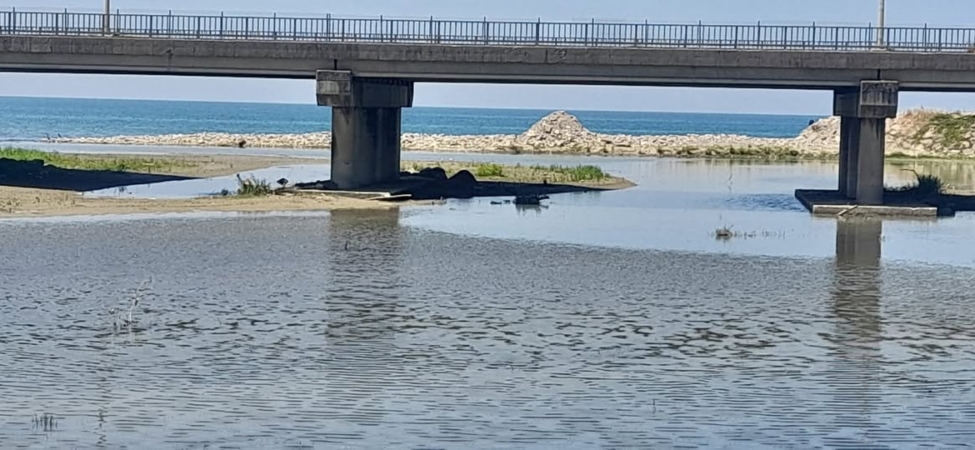 596620835_10163848155497904_3743542551097714968_n