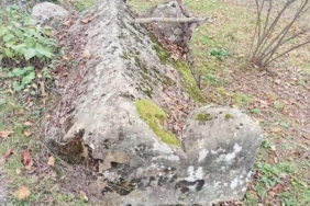 659e25d0-cc8b-4640-965c-d28d2c55fdc2