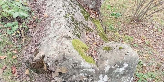 659e25d0-cc8b-4640-965c-d28d2c55fdc2