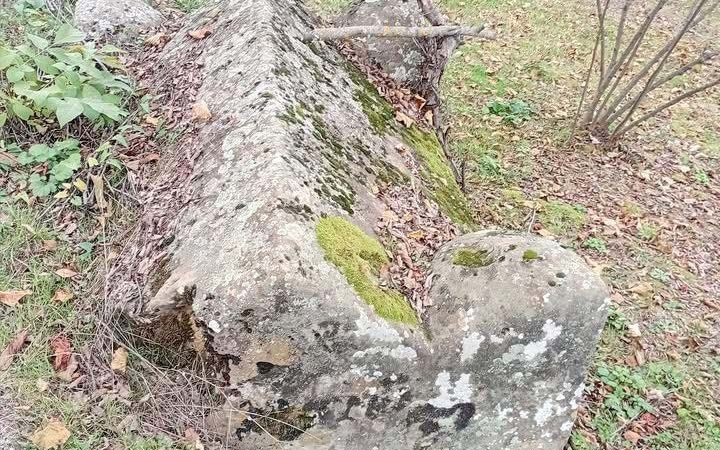 659e25d0-cc8b-4640-965c-d28d2c55fdc2