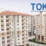 FB_IMG_1766560788821