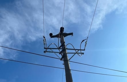 Kuş çarpmasından dolayı elektrik kesinti yaşanmayacak