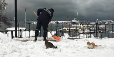 FB_IMG_1767341321933