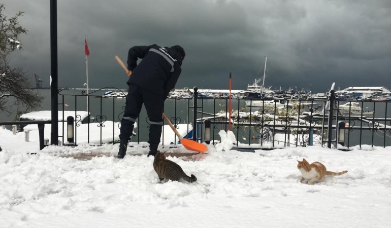 FB_IMG_1767341321933