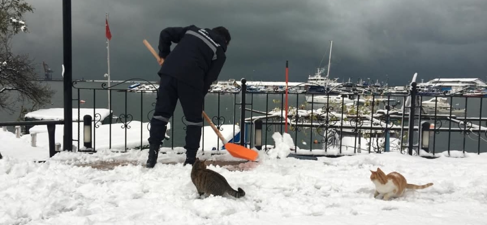 FB_IMG_1767341321933