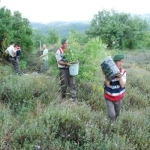 628484777_10164107246847904_128273190074136756_n