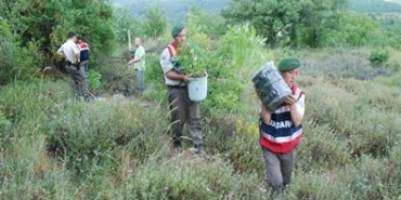 628484777_10164107246847904_128273190074136756_n