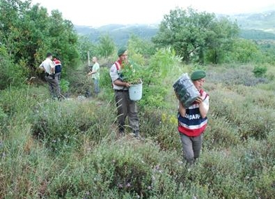 628484777_10164107246847904_128273190074136756_n