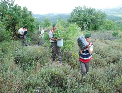 628484777_10164107246847904_128273190074136756_n