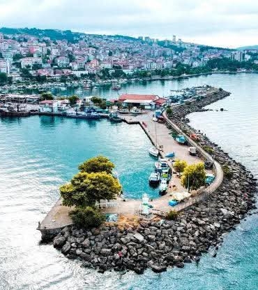 FB_IMG_1770798446998