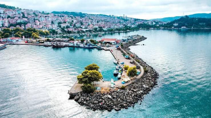 FB_IMG_1770798446998