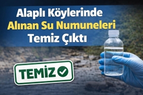 FB_IMG_1770821436992