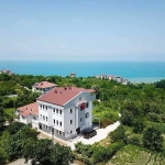 FB_IMG_1771069607598