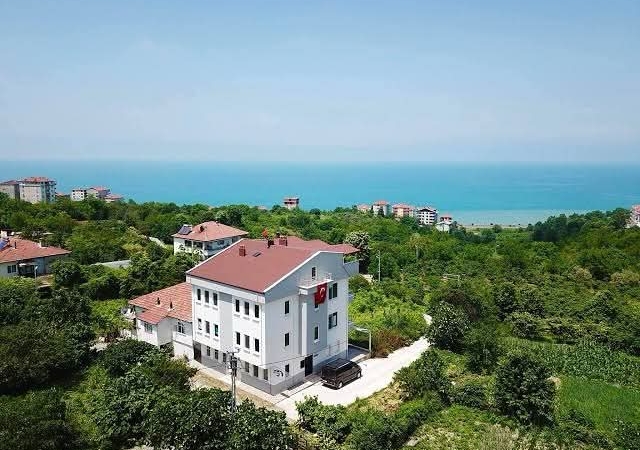 FB_IMG_1771069607598