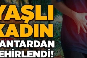 FB_IMG_1772039214357