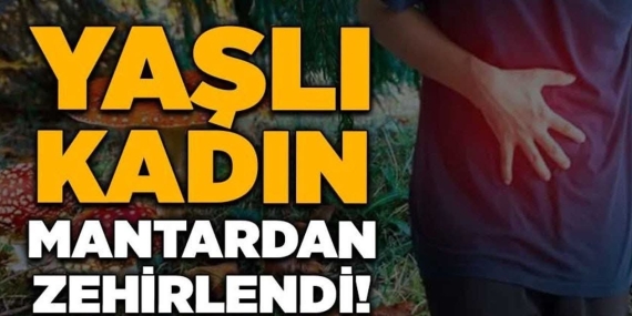 FB_IMG_1772039214357