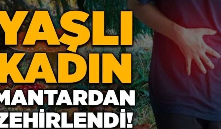 FB_IMG_1772039214357