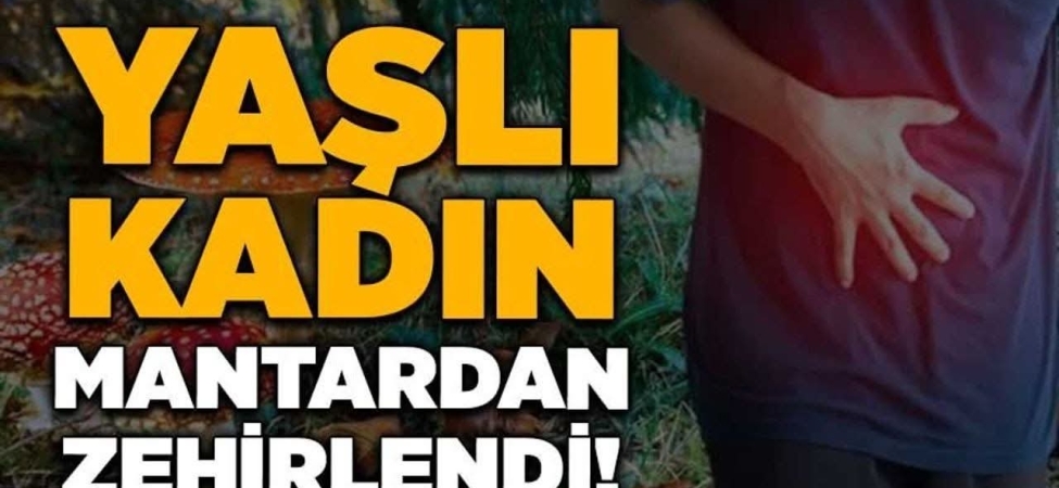 FB_IMG_1772039214357