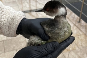 FB_IMG_1772273870173