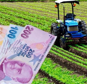 ciftcilere-yuzde-50-destekli-fidan-duyurusu