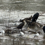 643398957_4165731517010581_9127027974791262157_n