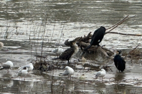 643398957_4165731517010581_9127027974791262157_n