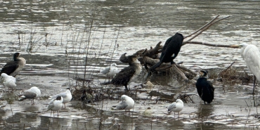 643398957_4165731517010581_9127027974791262157_n