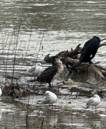 643398957_4165731517010581_9127027974791262157_n