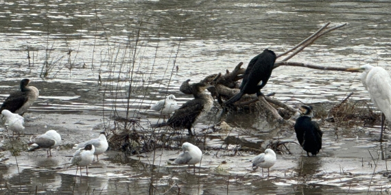 643398957_4165731517010581_9127027974791262157_n