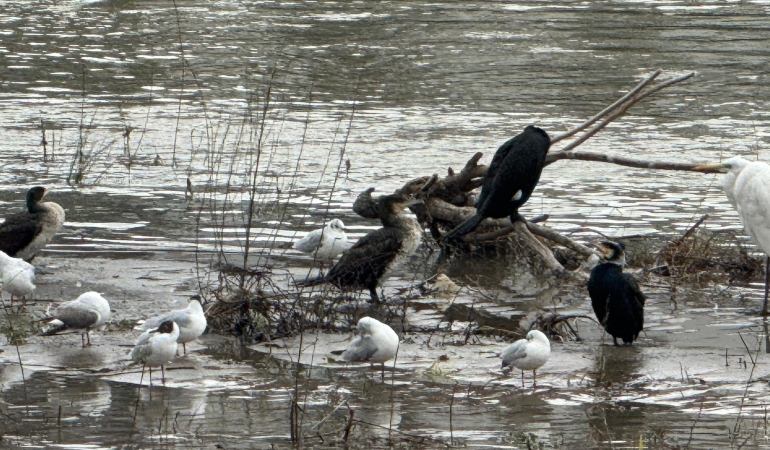 643398957_4165731517010581_9127027974791262157_n