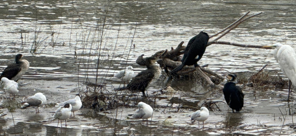 643398957_4165731517010581_9127027974791262157_n