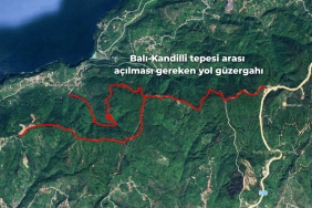 647241967_1220103270165167_5576588634570596236_n